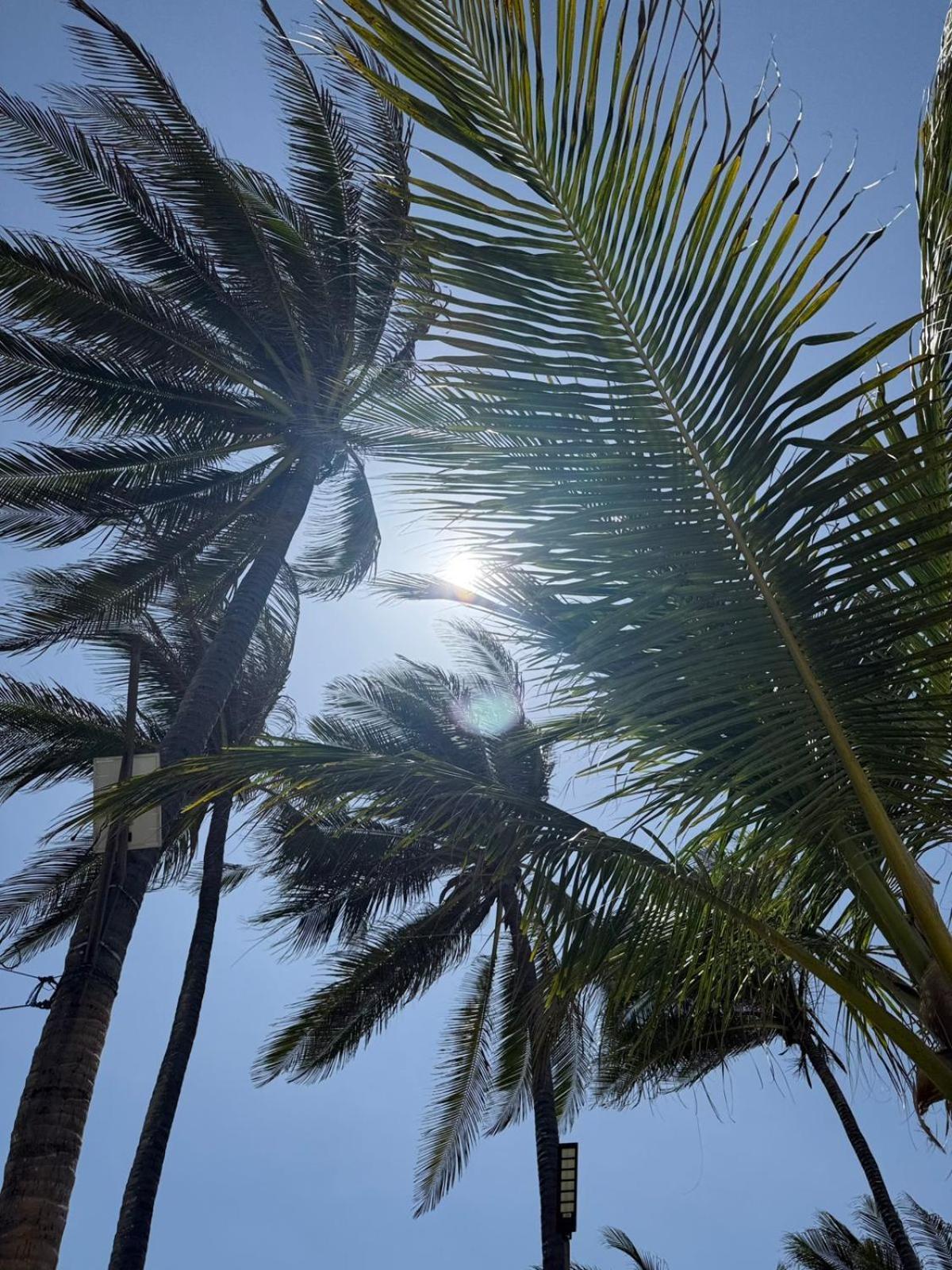 Playa Palmeras Beach Resort Cartagena 외부 사진